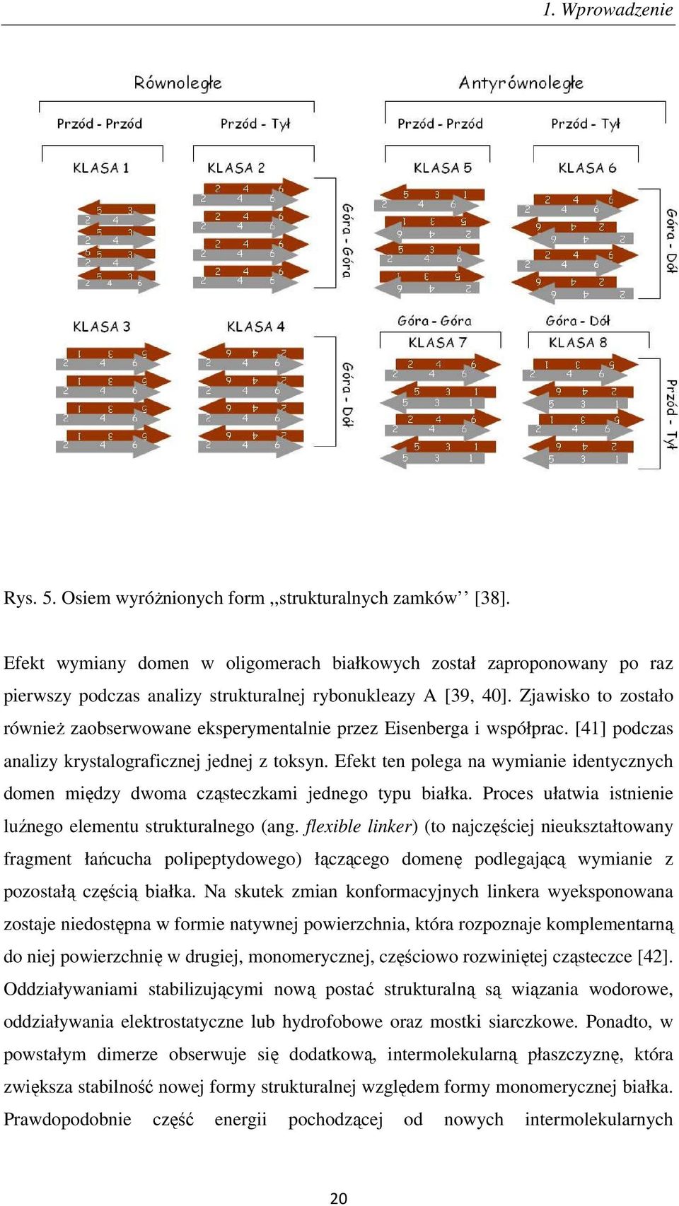 Zjawisko to zostało również zaobserwowane eksperymentalnie przez Eisenberga i współprac. [41] podczas analizy krystalograficznej jednej z toksyn.