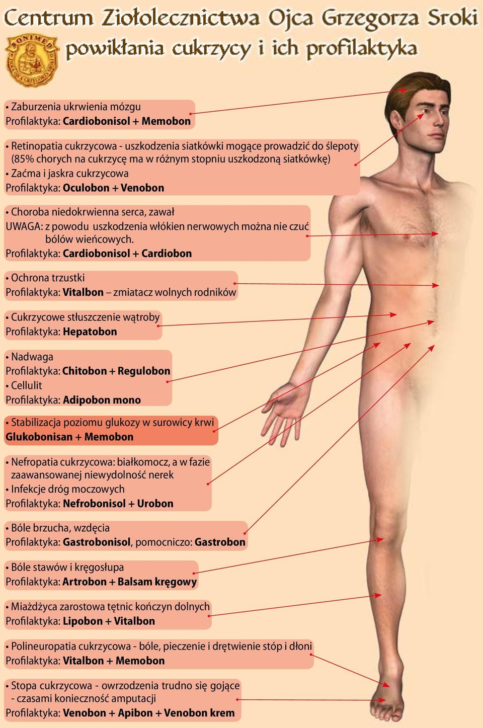 Profilaktyka: Cardiobonisol + Cardiobon Ochrona trzustki Profilaktyka: Vitalbon zmiatacz wolnych rodników Cukrzycowe stłuszczenie wątroby Profilaktyka: Hepatobon Nadwaga Profilaktyka: Chitobon +