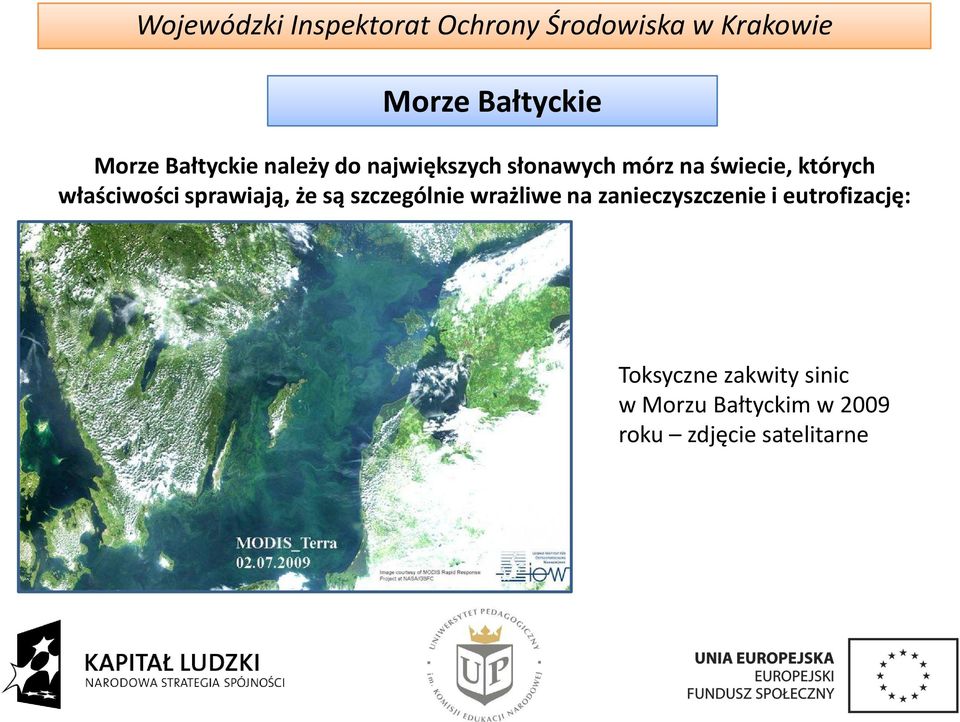 wrażliwe na zanieczyszczenie i eutrofizację: Toksyczne zakwity sinic