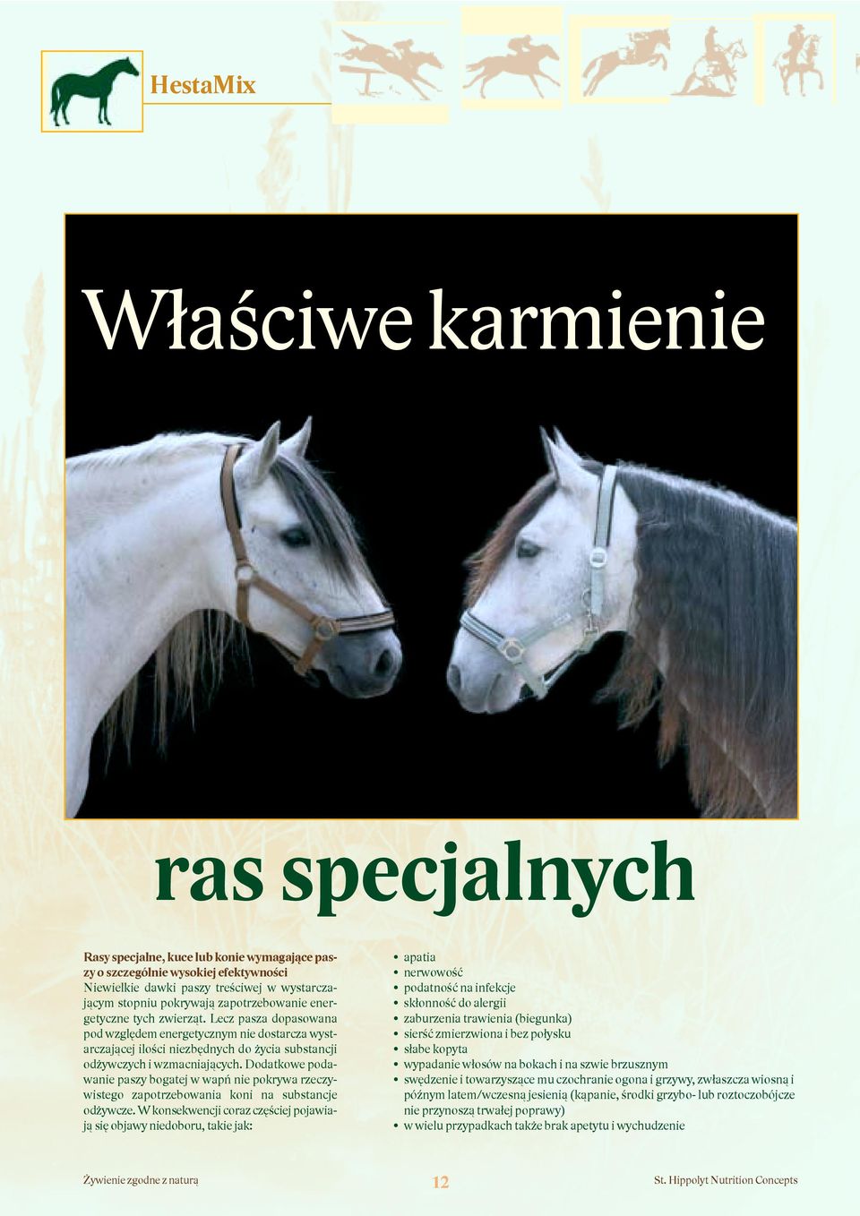 Dodatkowe podawanie paszy bogatej w wapń nie pokrywa rzeczywistego zapotrzebowania koni na substancje odżywcze.