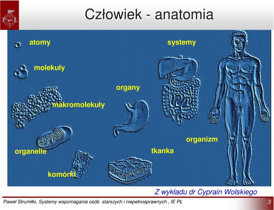 makromolekuły organelle tkanka