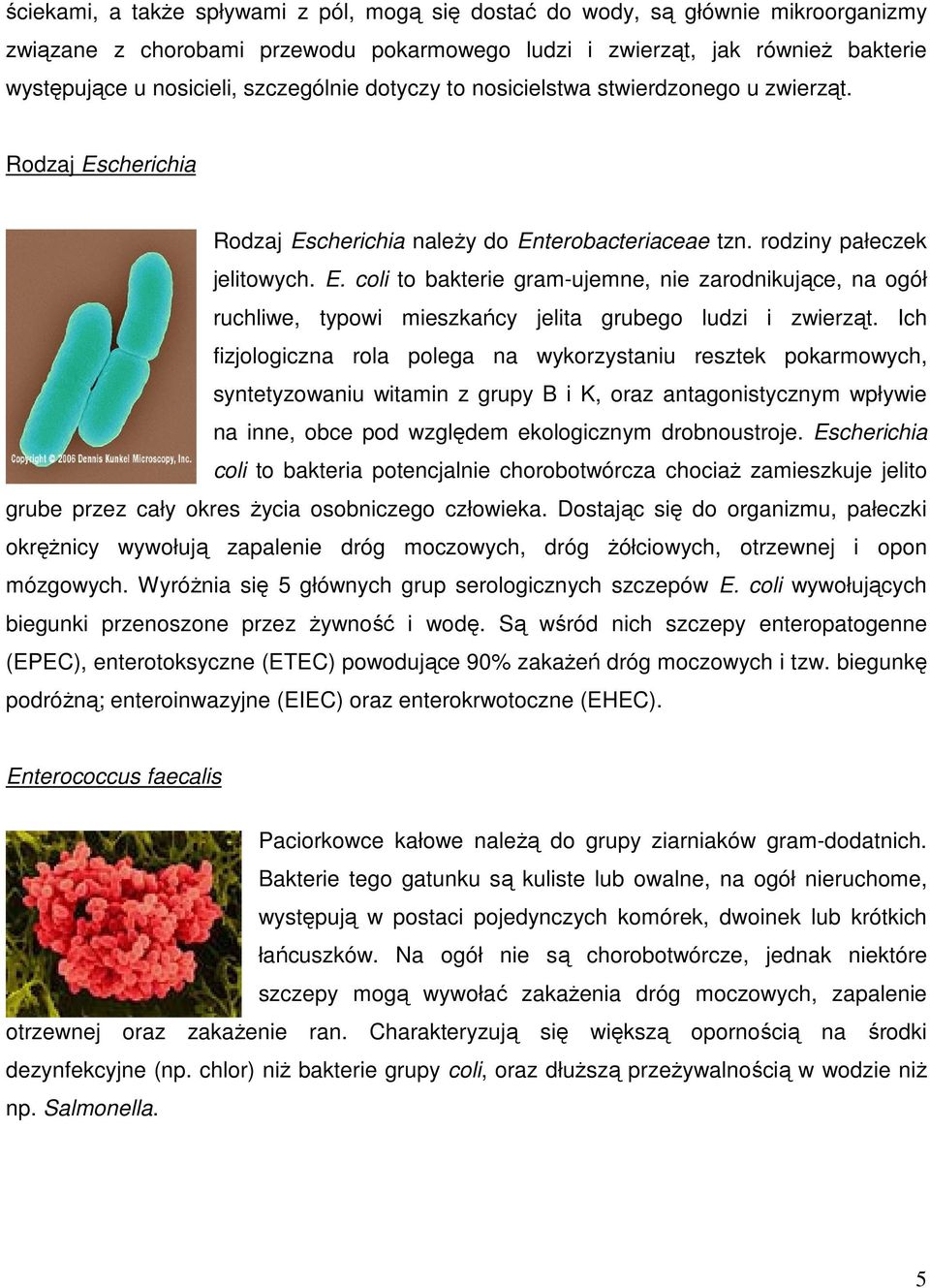 Ich fizjologiczna rola polega na wykorzystaniu resztek pokarmowych, syntetyzowaniu witamin z grupy B i K, oraz antagonistycznym wpływie na inne, obce pod względem ekologicznym drobnoustroje.