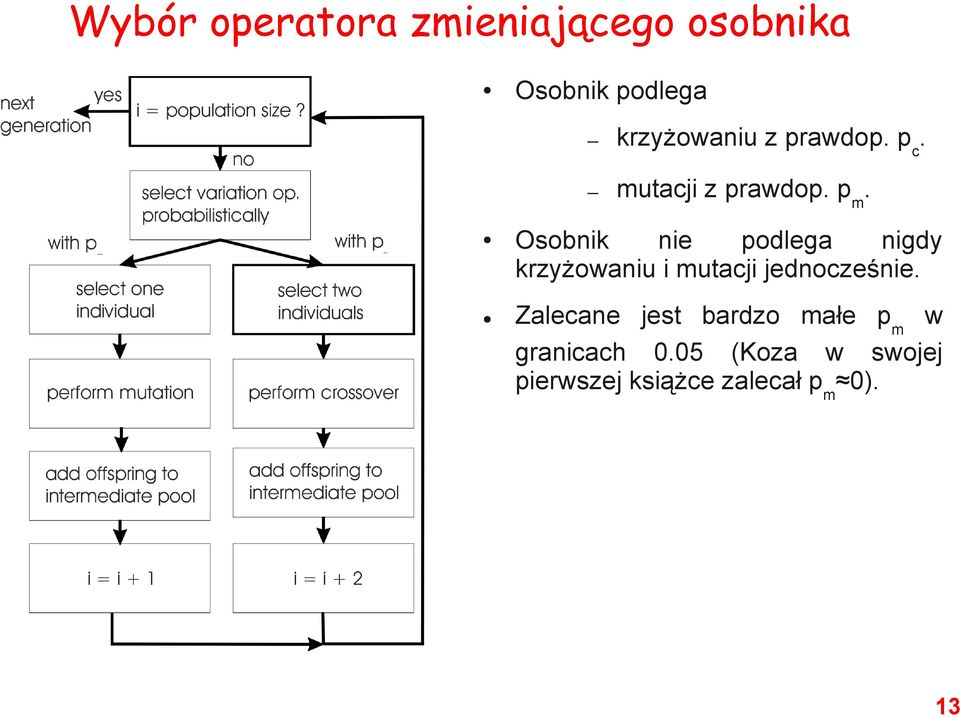 Osobnik nie podlega nigdy krzyżowaniu i mutacji jednocześnie.