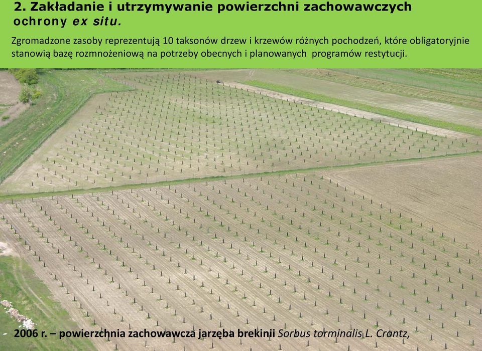 które obligatoryjnie stanowią bazę rozmnożeniową na potrzeby obecnych i planowanych