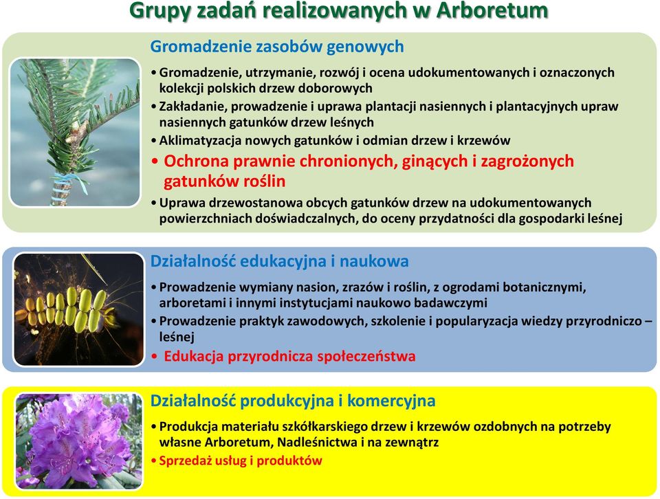 roślin Uprawa drzewostanowa obcych gatunków drzew na udokumentowanych powierzchniach doświadczalnych, do oceny przydatności dla gospodarki leśnej Działalność edukacyjna i naukowa Prowadzenie wymiany