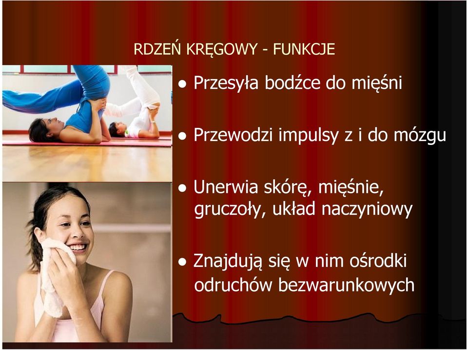 skórę, mięśnie, gruczoły, układ naczyniowy