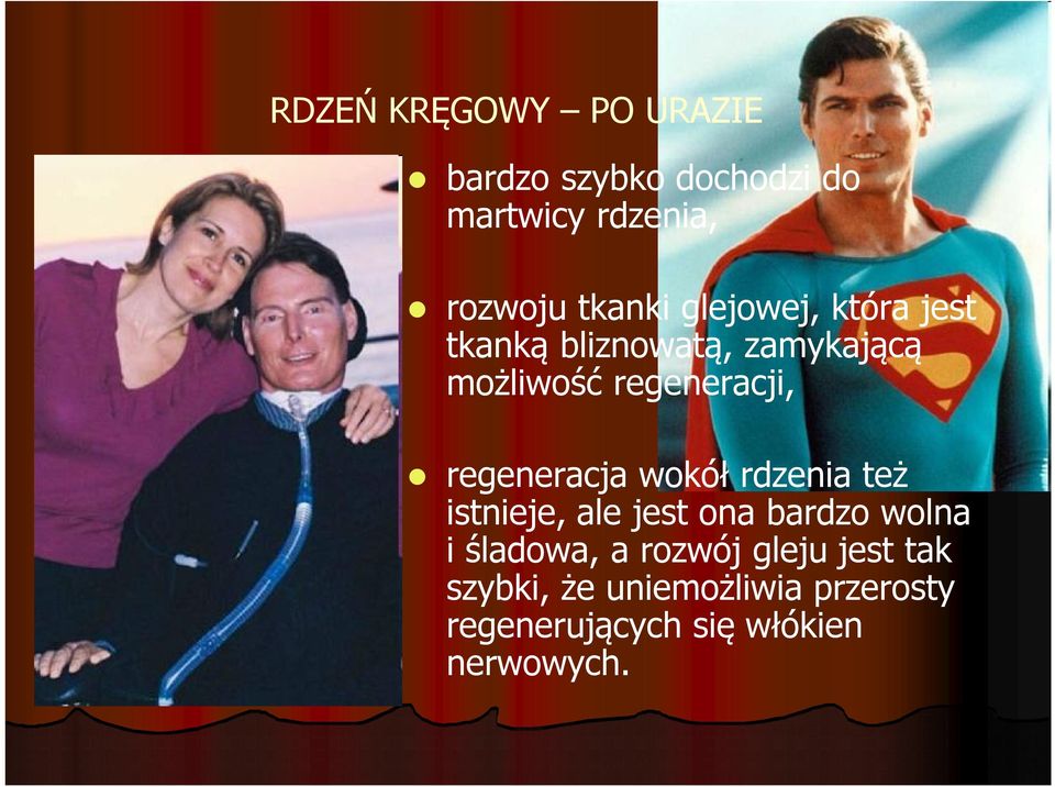 regeneracja wokół rdzenia też istnieje, ale jest ona bardzo wolna i śladowa, a