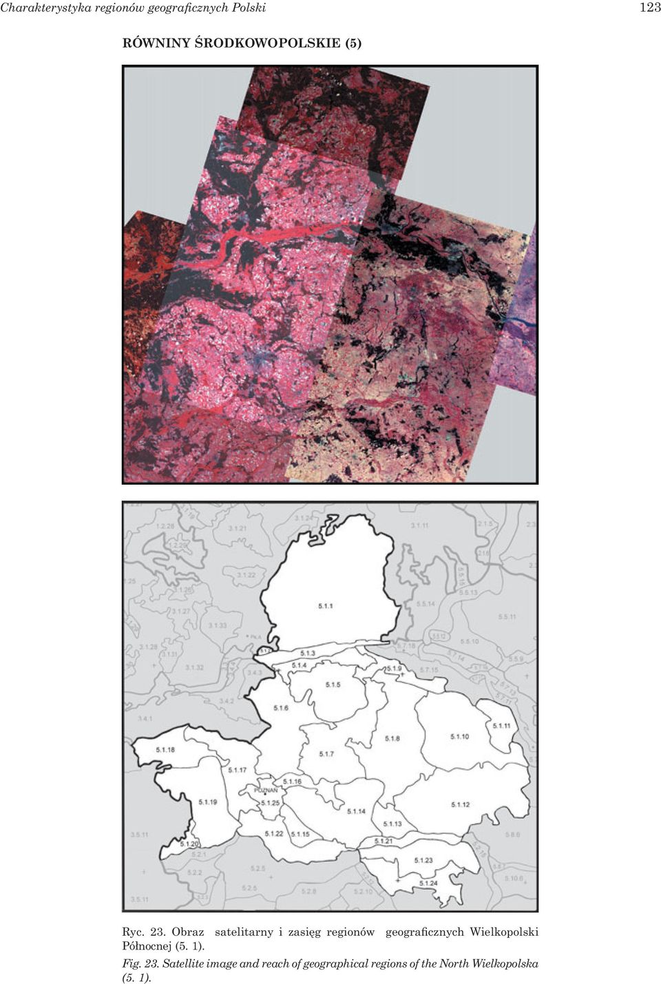 Obraz satelitarny i zasięg regionów geograficznych Wielkopolski