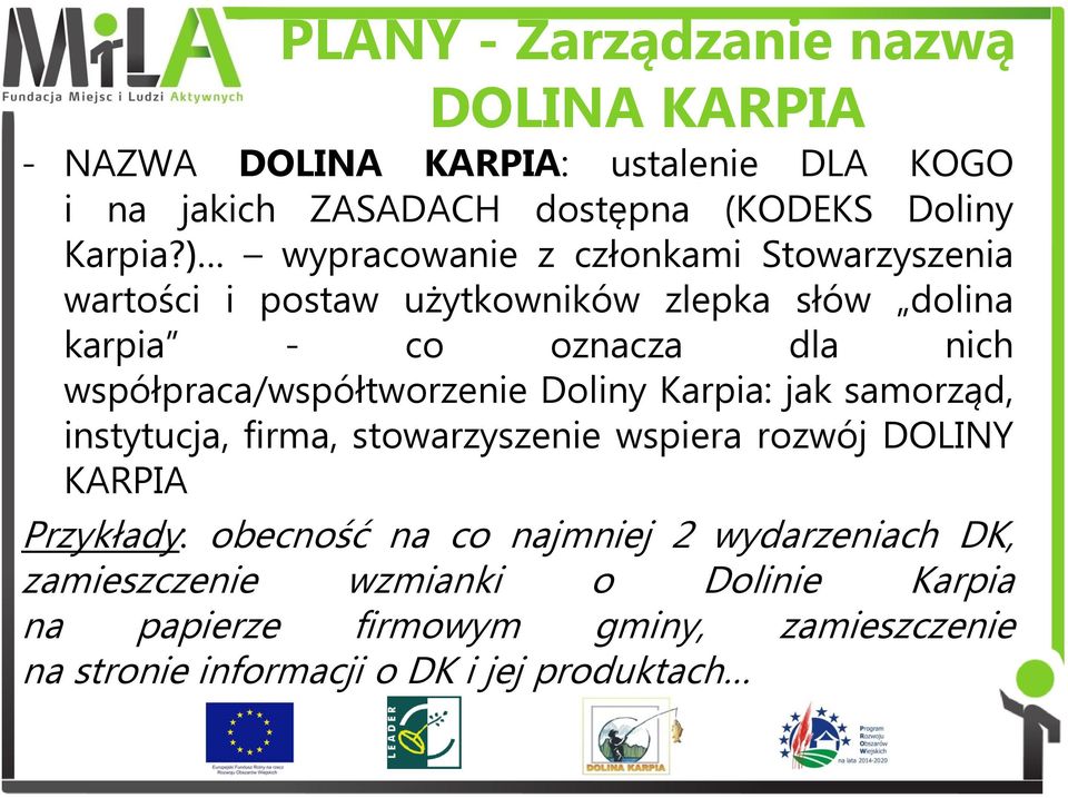 współpraca/współtworzenie Doliny Karpia: jak samorząd, instytucja, firma, stowarzyszenie wspiera rozwój DOLINY KARPIA Przykłady: obecność