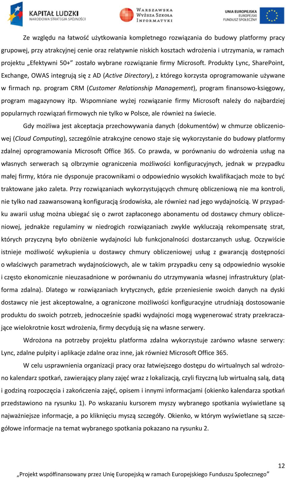 program CRM (Customer Relationship Management), program finansowo-księgowy, program magazynowy itp.