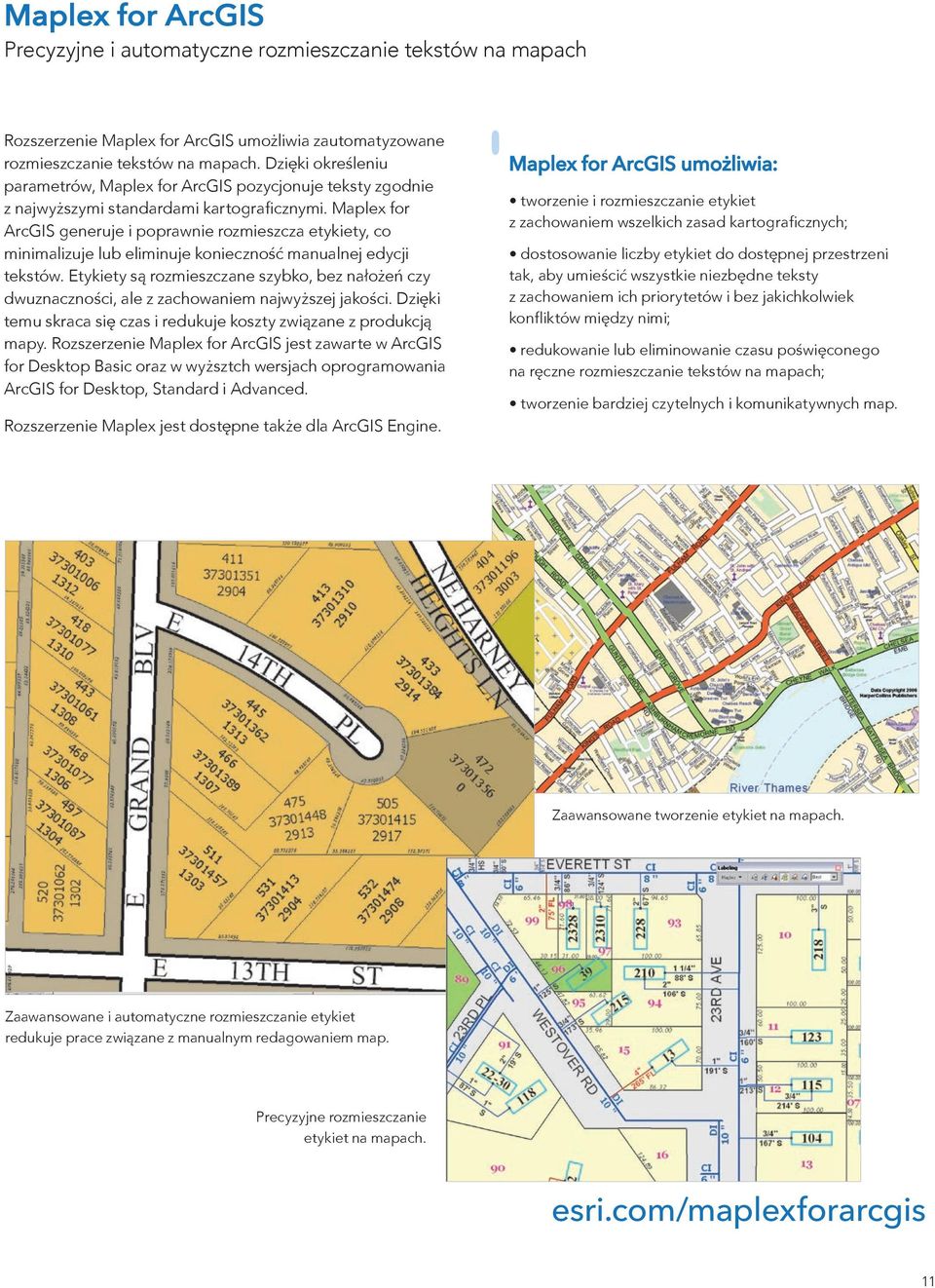 Maple for ArcGIS generuje i poprawnie rozmieszcza etykiety, co minimalizuje lub eliminuje konieczność manualnej edycji tekstów.