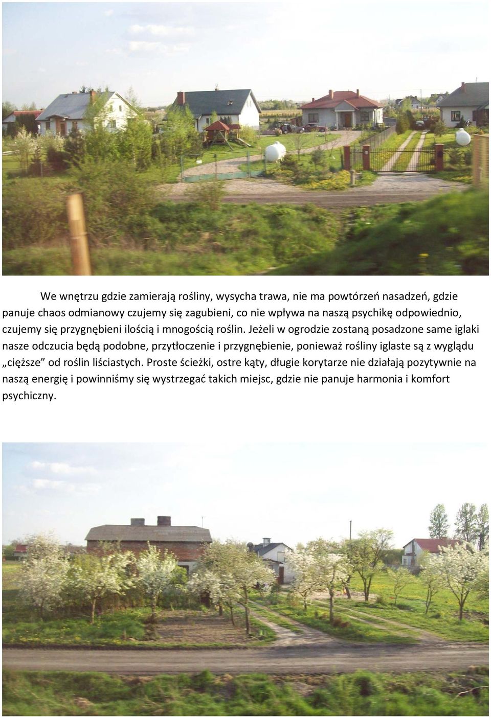 Jeżeli w ogrodzie zostaną posadzone same iglaki nasze odczucia będą podobne, przytłoczenie i przygnębienie, ponieważ rośliny iglaste są z wyglądu
