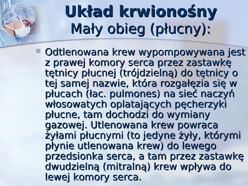 pulmones) na sieć naczyń włosowatych oplatających pęcherzyki płucne, tam dochodzi do wymiany gazowej.