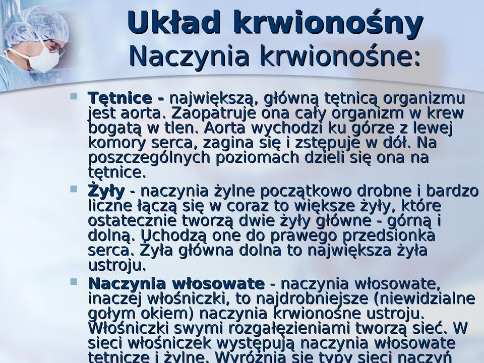 Żyły - naczynia żylne początkowo drobne i bardzo liczne łączą się w coraz to większe żyły, które ostatecznie tworzą dwie żyły główne - górną i dolną. Uchodzą one do prawego przedsionka serca.