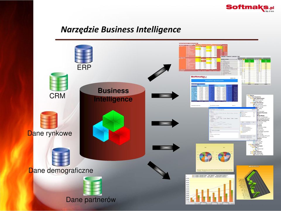 Intelligence CRM Dane