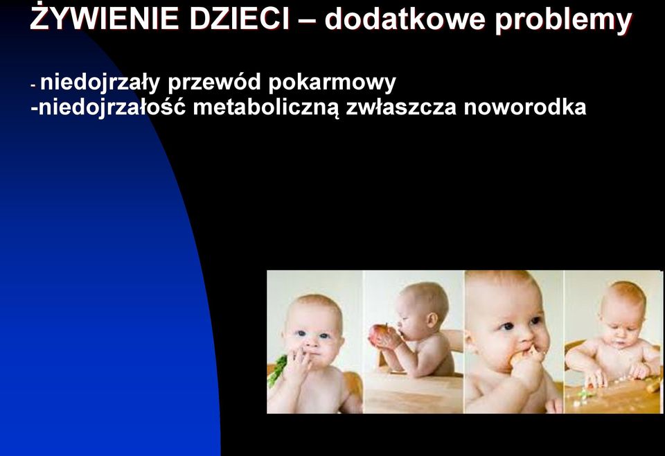 przewód pokarmowy