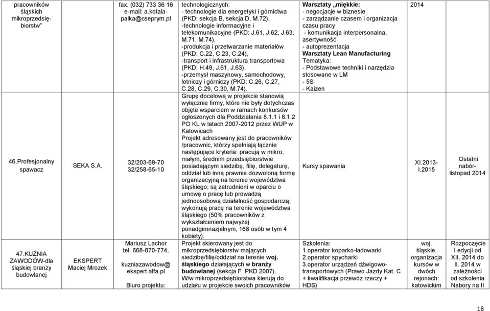 72), technologie informacyjne i telekomunikacyjne (PKD: J.61, J.62, J.63, M.71, M.74), produkcja i przetwarzanie materiałów (PKD: C.22, C.23, C.24), transport i infrastruktura transportowa (PKD: H.