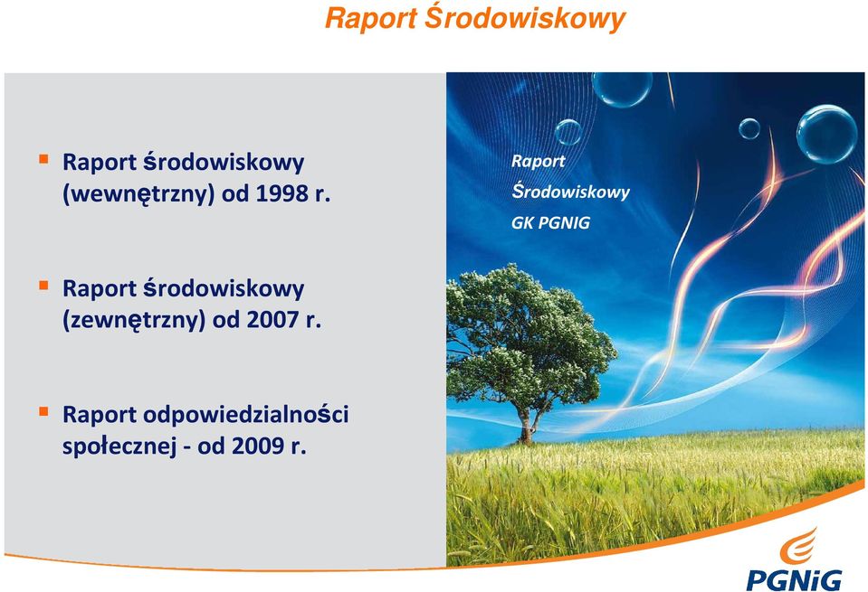 Raport Środowiskowy GK PGNIG Raport