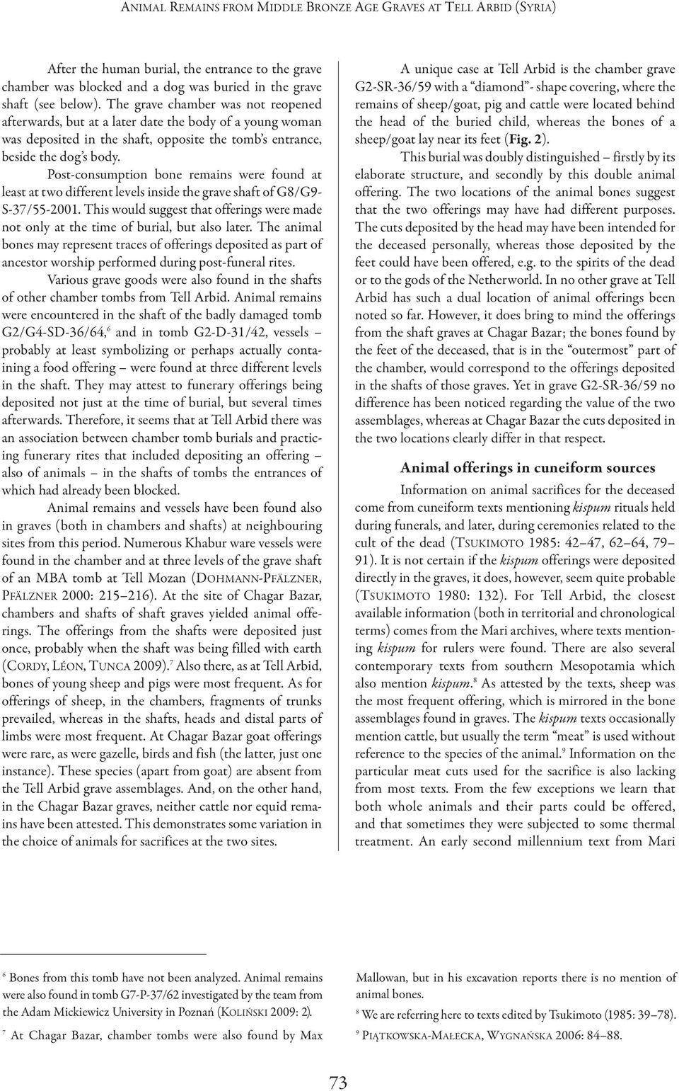 Post-consumption bone remains were found at least at two different levels inside the grave shaft of G8/G9- S-37/55-2001.