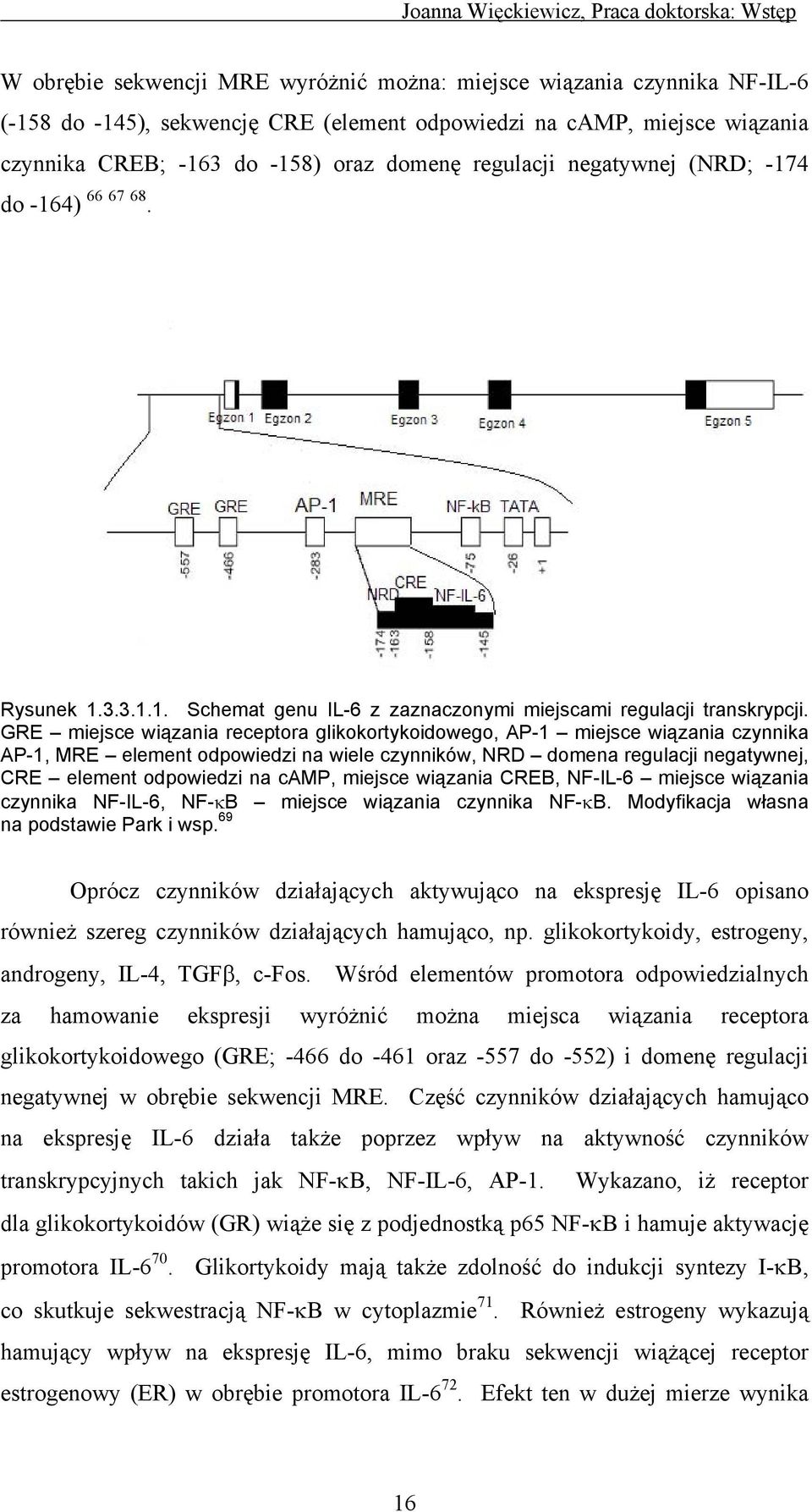 GRE miejsce wiązania receptora glikokortykoidowego, AP-1 miejsce wiązania czynnika AP-1, MRE element odpowiedzi na wiele czynników, NRD domena regulacji negatywnej, CRE element odpowiedzi na camp,