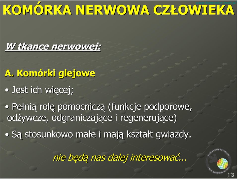 (funkcje podporowe, odżywcze, odgraniczające i regenerujące)