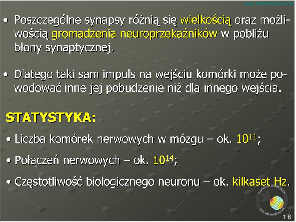 Dlatego taki sam impuls na wejściu komórki może po- wodować inne jej pobudzenie niż dla innego