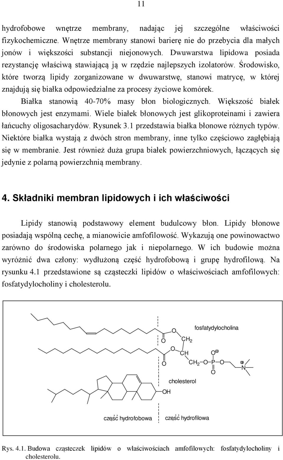 Środowisko, które tworzą lipidy zorganizowane w dwuwarstwę, stanowi matrycę, w której znajdują się białka odpowiedzialne za procesy życiowe komórek. Białka stanowią 40-70% masy błon biologicznych.