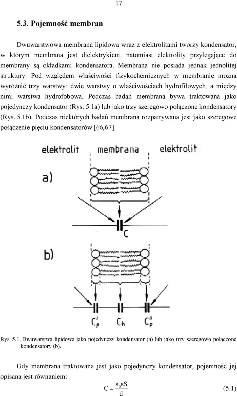 kondensatora. Membrana nie posiada jednak jednolitej struktury.