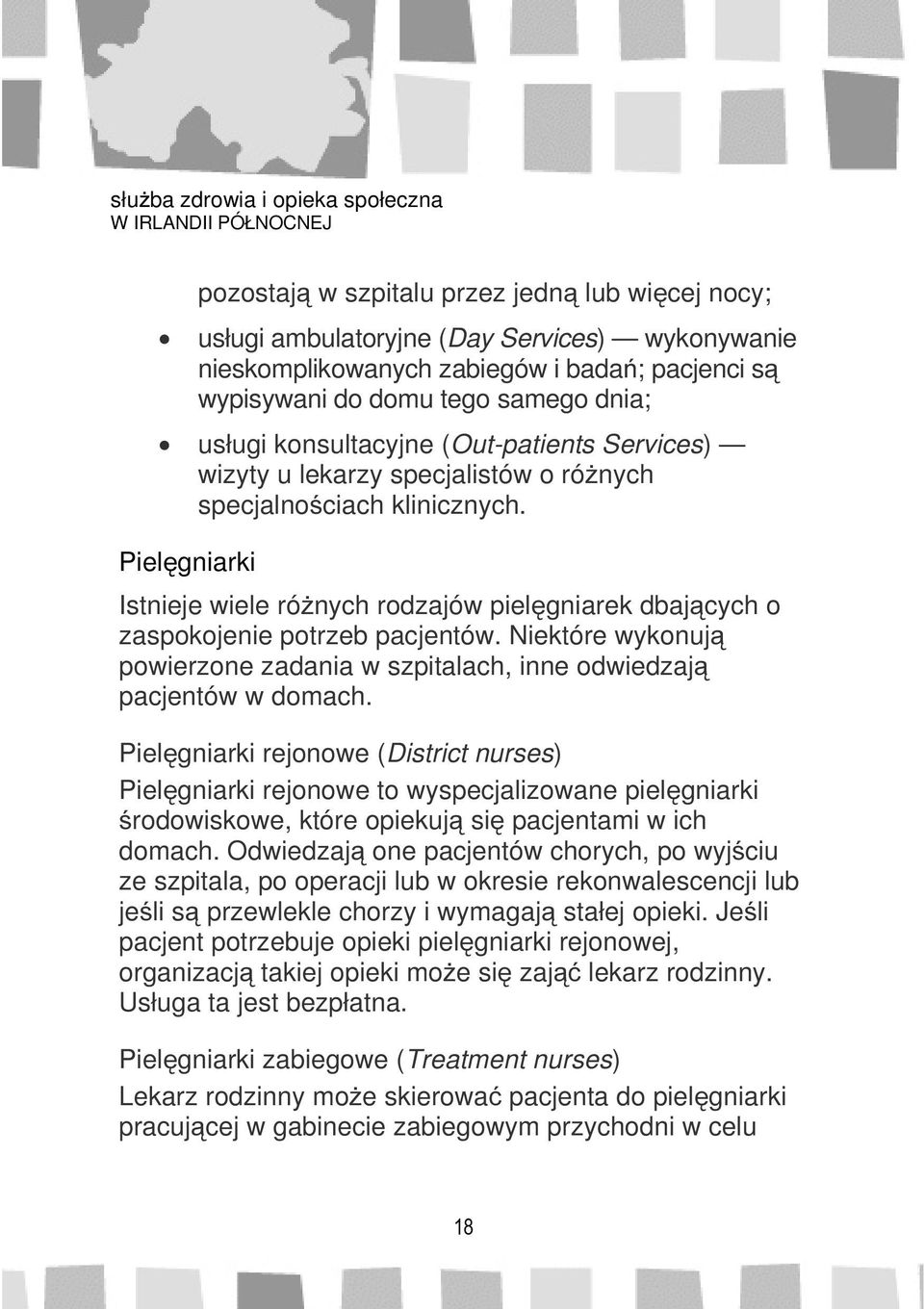 Pielęgniarki Istnieje wiele różnych rodzajów pielęgniarek dbających o zaspokojenie potrzeb pacjentów. Niektóre wykonują powierzone zadania w szpitalach, inne odwiedzają pacjentów w domach.