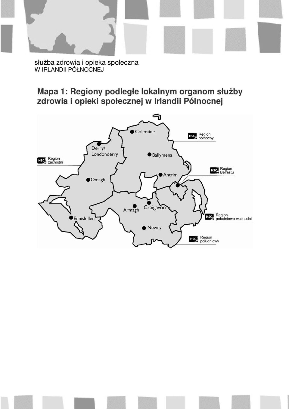 podległe lokalnym organom służby