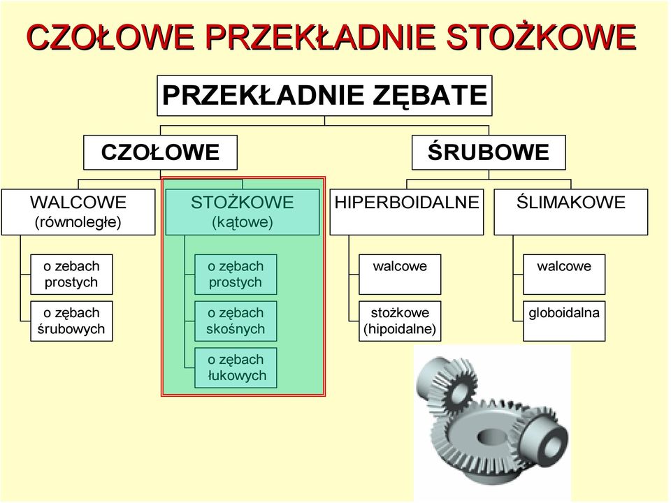 ŚLIMAKOWE o ebach prostych o ębach prostych walcowe walcowe o