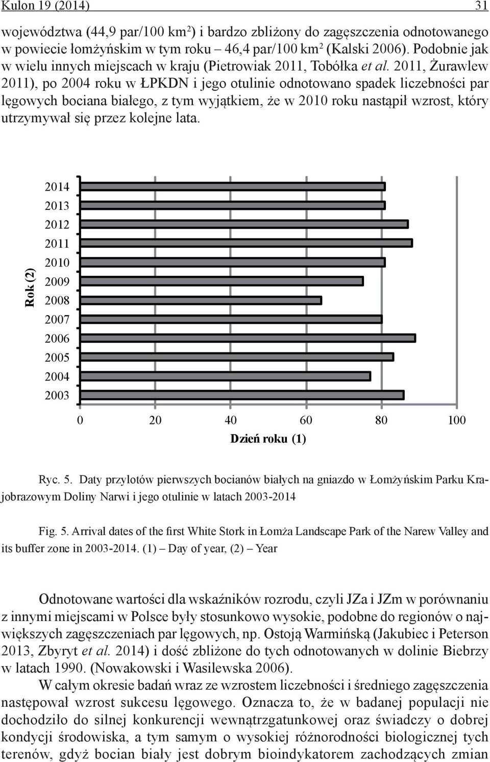 2011, Żurawlew 2011), po 2004 roku w ŁPKDN i jego otulinie odnotowano spadek liczebności par lęgowych bociana białego, z tym wyjątkiem, że w 2010 roku nastąpił wzrost, który utrzymywał się przez