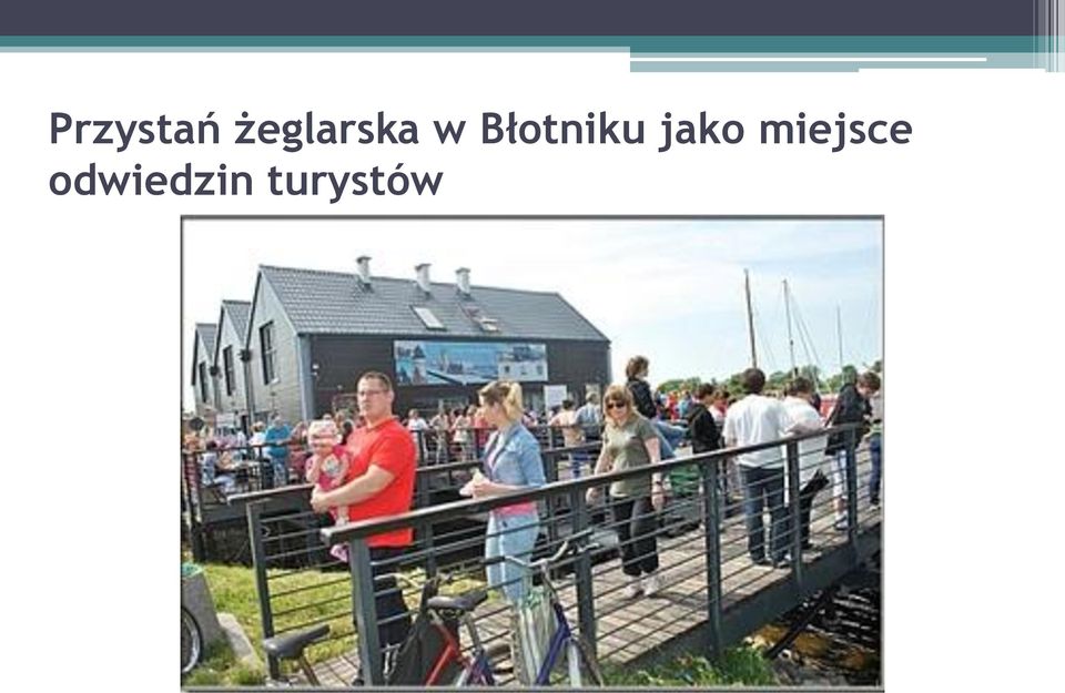 Błotniku jako