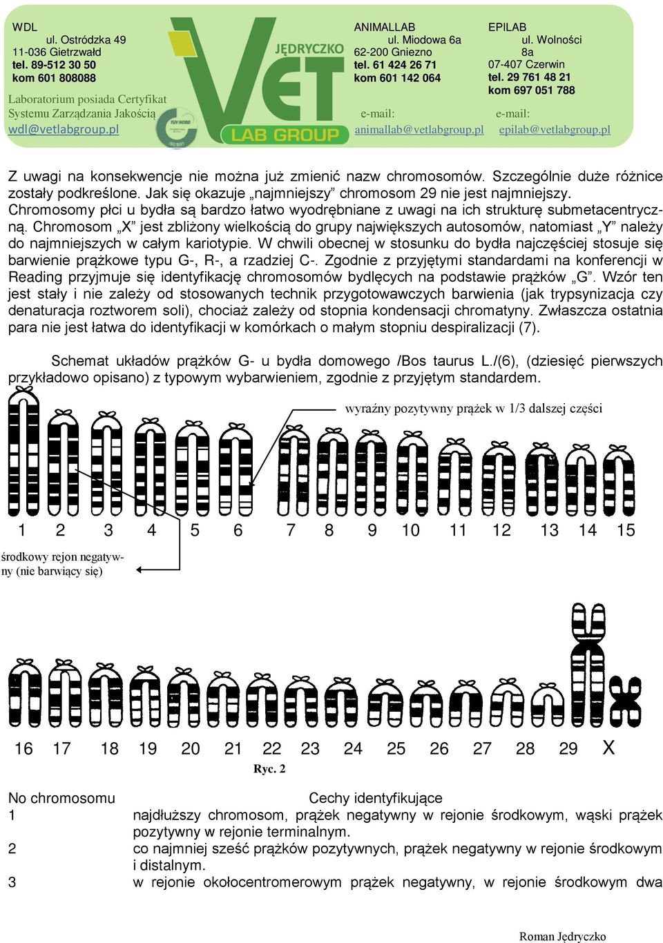 Chromosom X jest zbliżony wielkością do grupy największych autosomów, natomiast Y należy do najmniejszych w całym kariotypie.