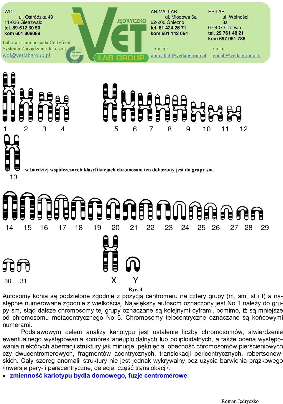 Największy autosom oznaczony jest No 1 należy do grupy sm, stąd dalsze chromosomy tej grupy oznaczane są kolejnymi cyframi, pomimo, iż są mniejsze od chromosomu metacentrycznego No 5.