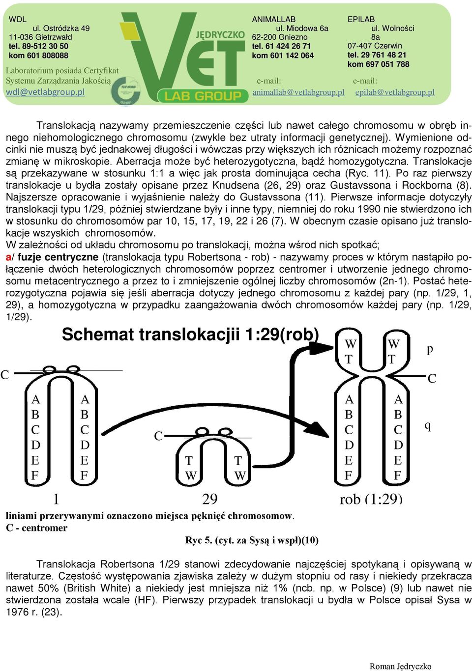 Translokacje są przekazywane w stosunku 1:1 a więc jak prosta dominująca cecha (Ryc. 11). Po raz pierwszy translokacje u bydła zostały opisane przez Knudsena (26, 29) oraz Gustavssona i Rockborna (8).