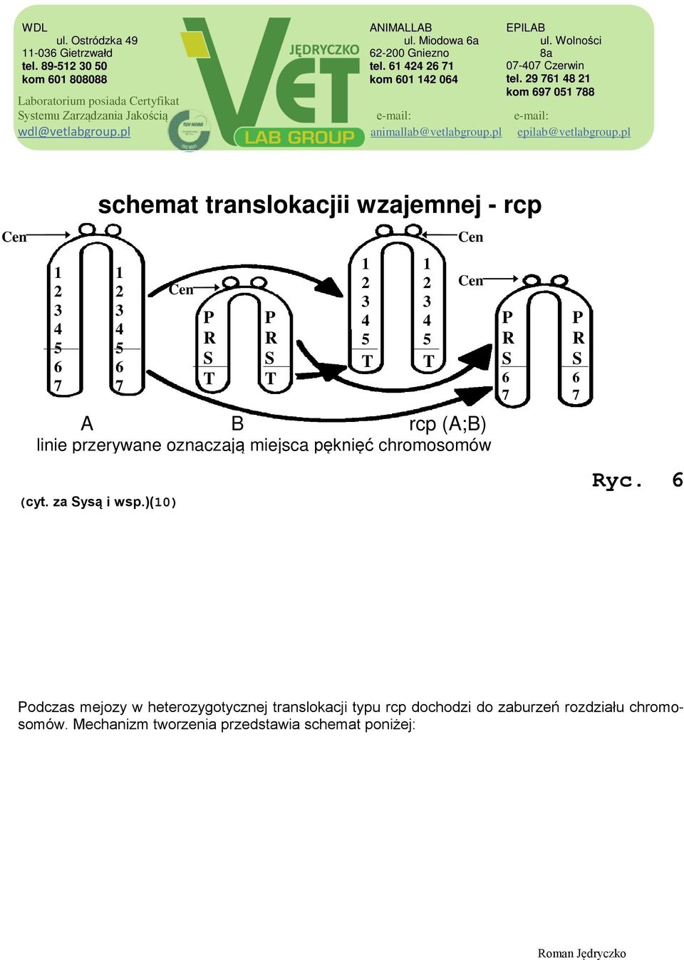 miejsca pęknięć chromosomów P R S 6 7 P R S 6 7 Ryc.