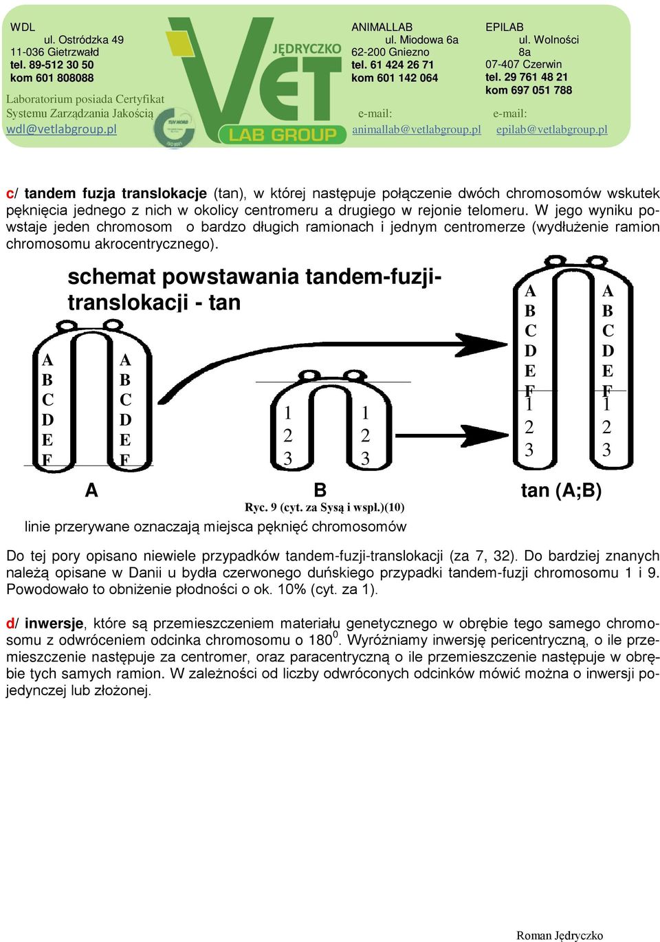 A B C D E F schemat powstawania tandem-fuzjitranslokacji - tan A B C D E F A B tan (A;B) Ryc. 9 (cyt. za Sysą i wspł.