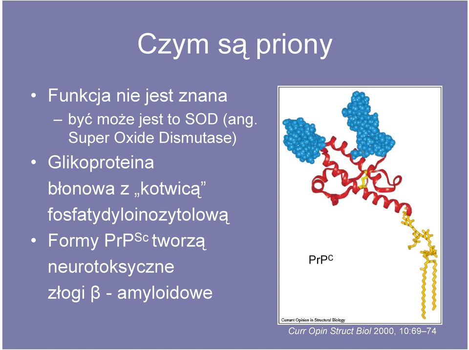 fosfatydyloinozytolową Formy PrP Sc tworzą neurotoksyczne