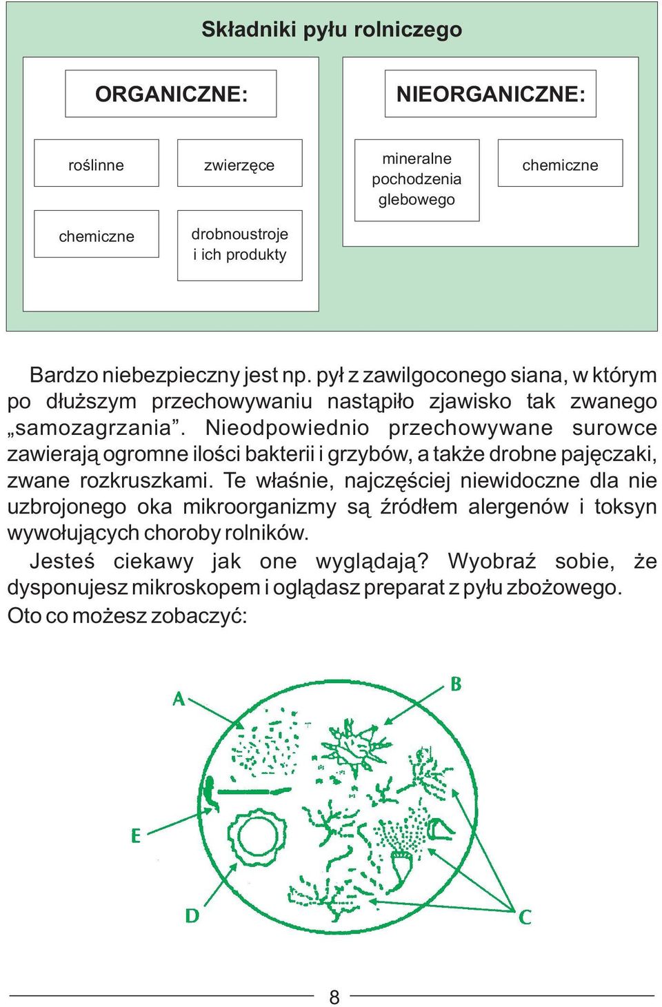 Nieodpowiednio przechowywane surowce zawierają ogromne ilości bakterii i grzybów, a także drobne pajęczaki, zwane rozkruszkami.