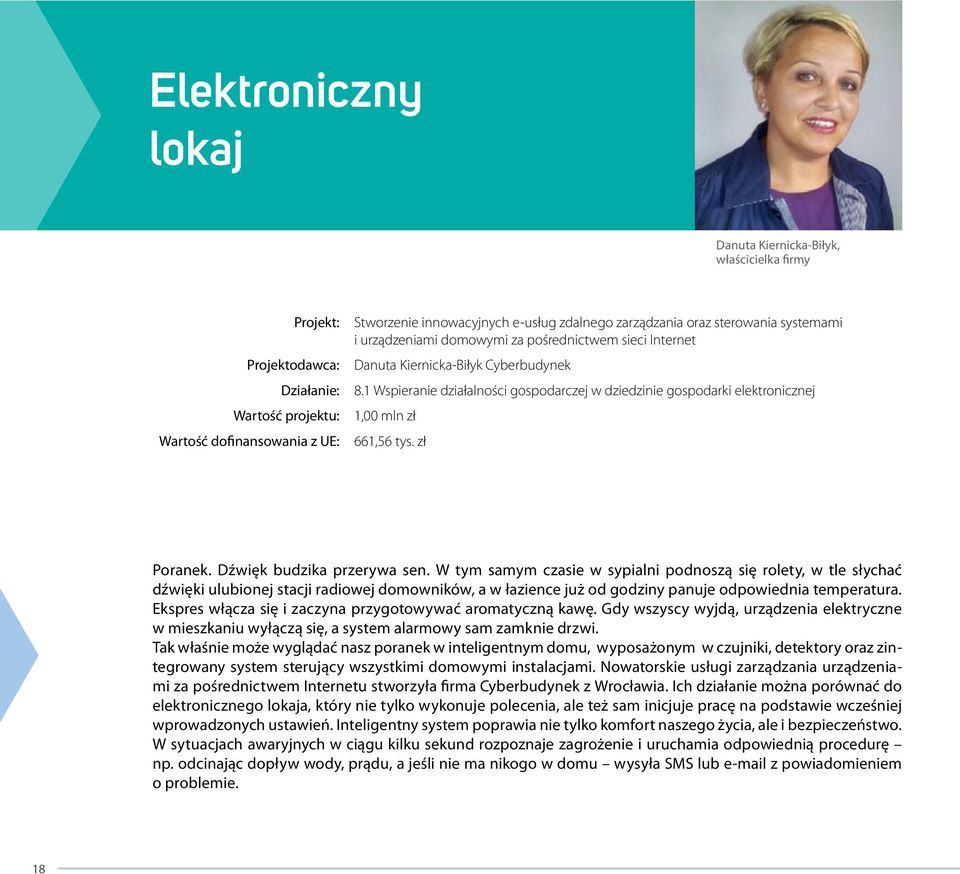 1 Wspieranie działalności gospodarczej w dziedzinie gospodarki elektronicznej 1,00 mln zł 661,56 tys. zł Poranek. Dźwięk budzika przerywa sen.