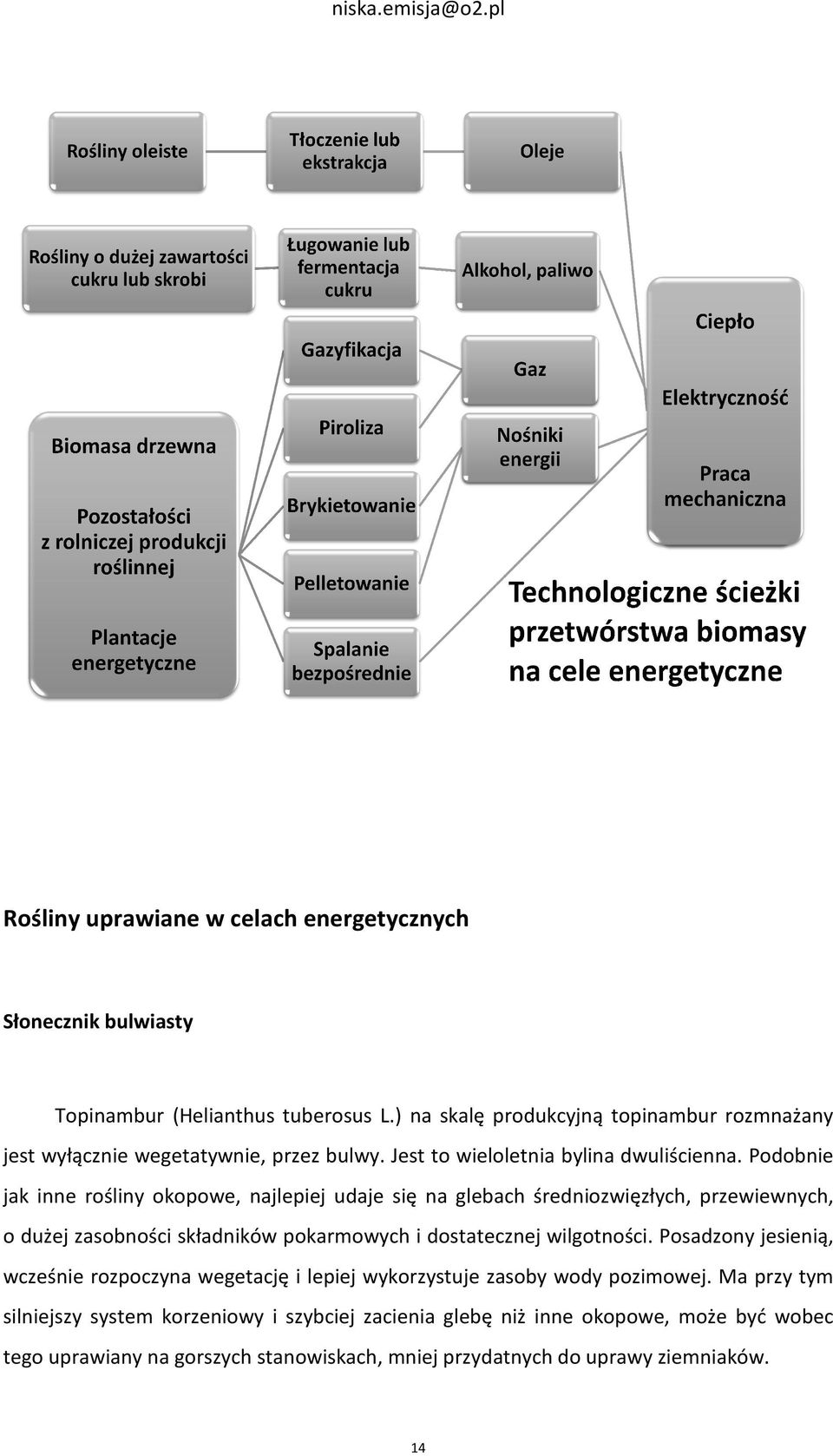 Podobnie jak inne rośliny okopowe, najlepiej udaje się na glebach średniozwięzłych, przewiewnych, o dużej zasobności składników pokarmowych i dostatecznej wilgotności.