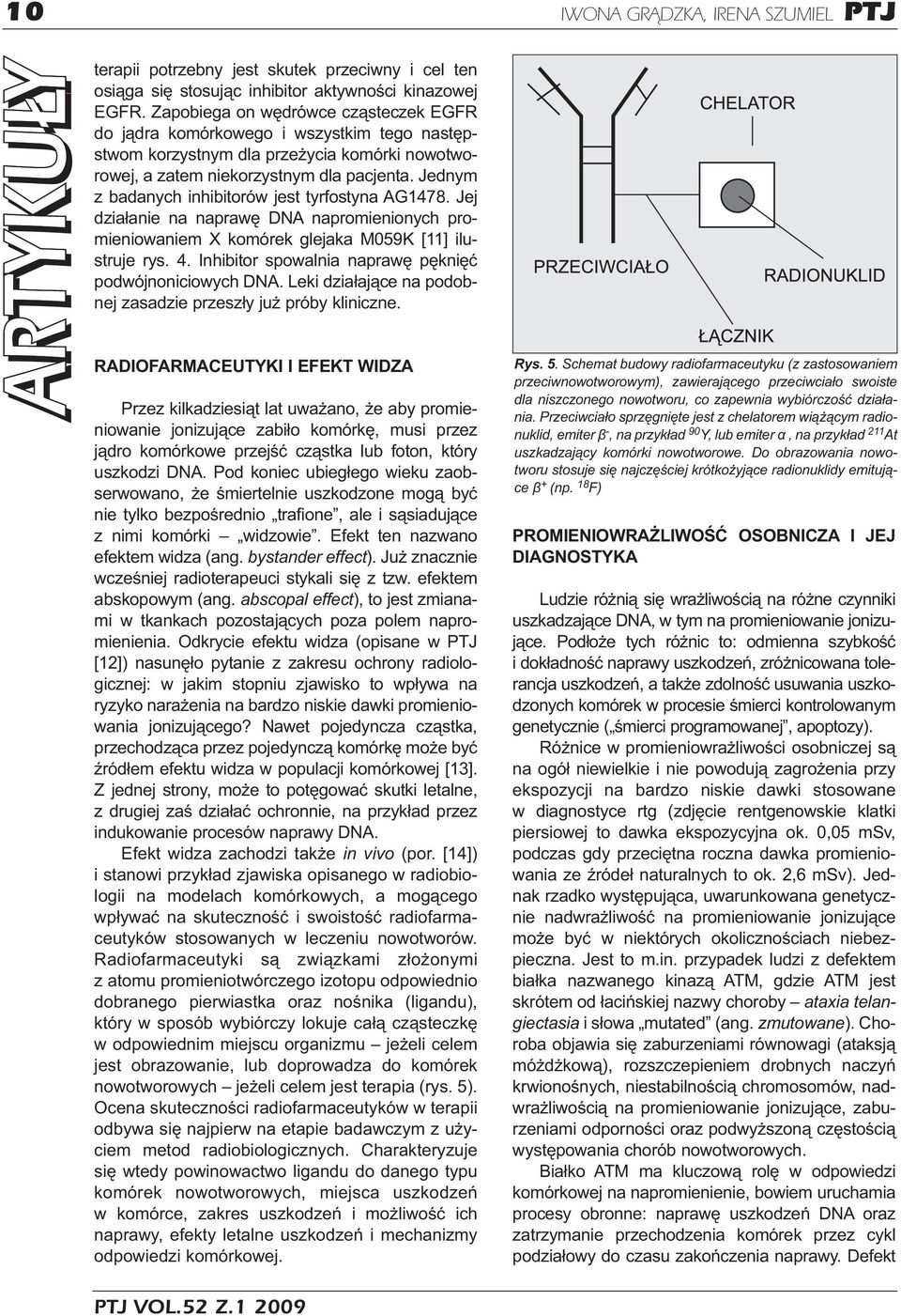 Jednym z badanych inhibitorów jest tyrfostyna AG1478. Jej działanie na naprawę DNA napromienionych promieniowaniem X komórek glejaka M059K [11] ilustruje rys. 4.