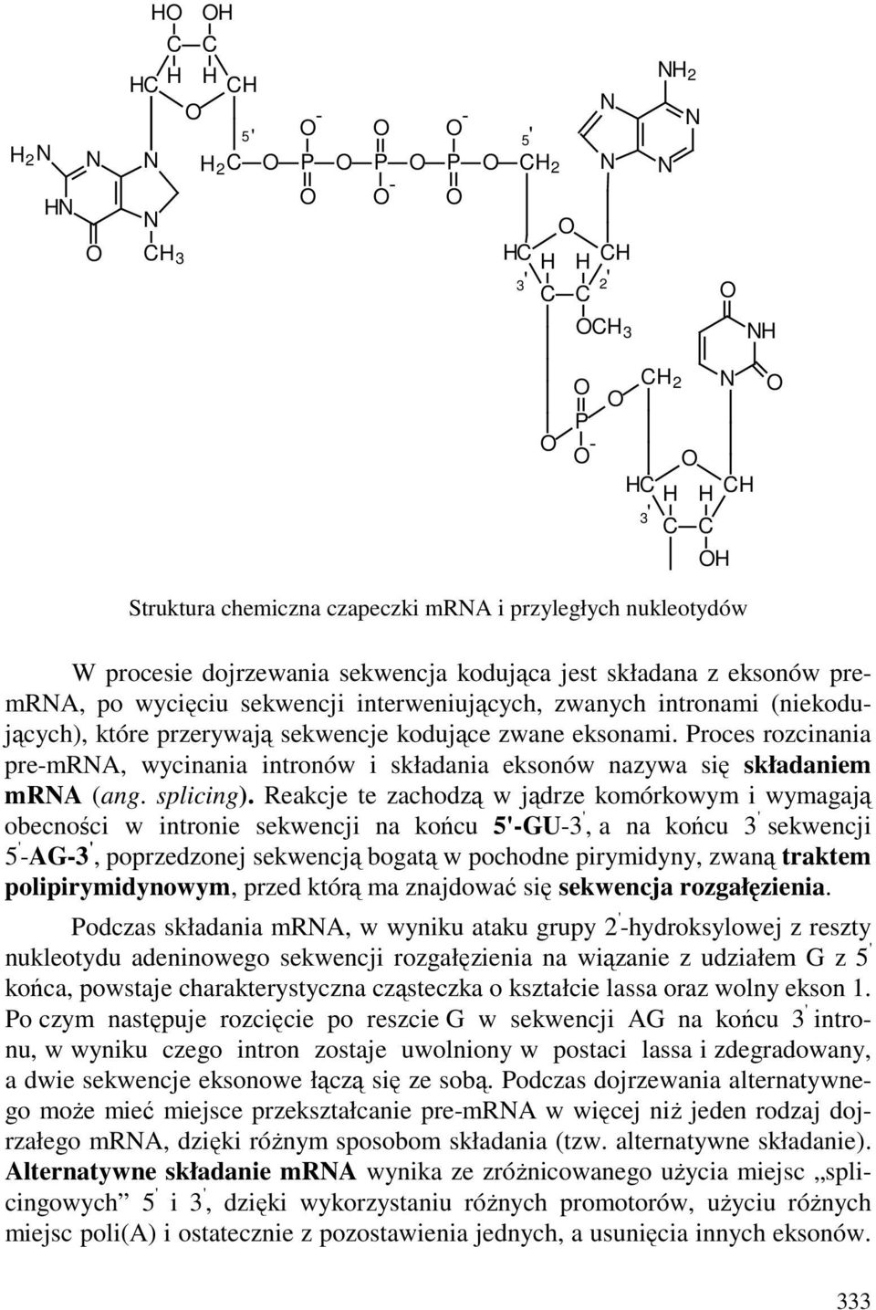 Proces rozcinania pre-mra, wycinania intronów i składania eksonów nazywa się składaniem mra (ang. splicing).