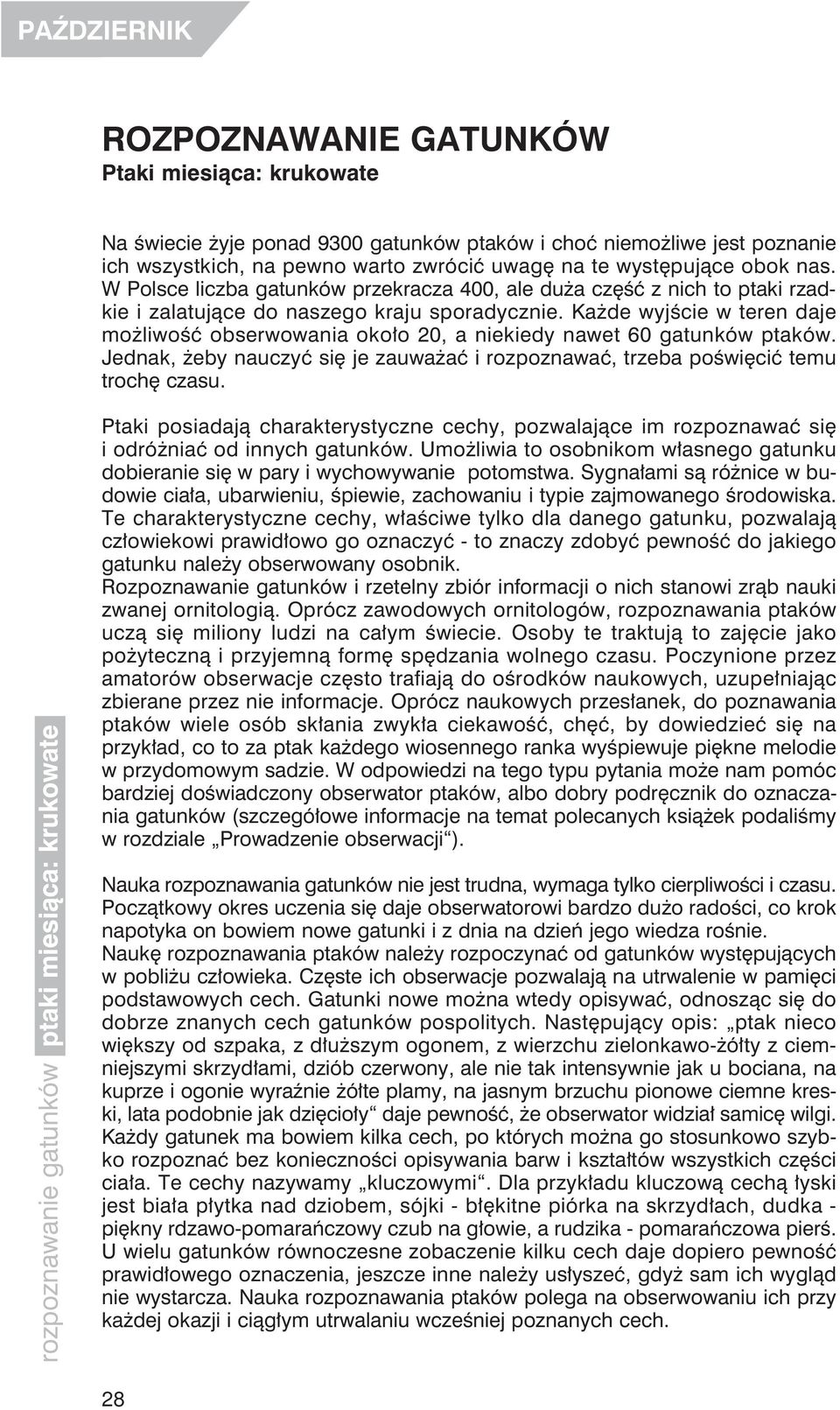 Każde wyjście w teren daje możliwość obserwowania około 20, a niekiedy nawet 60 gatunków ptaków. Jednak, żeby nauczyć się je zauważać i rozpoznawać, trzeba poświęcić temu trochę czasu.