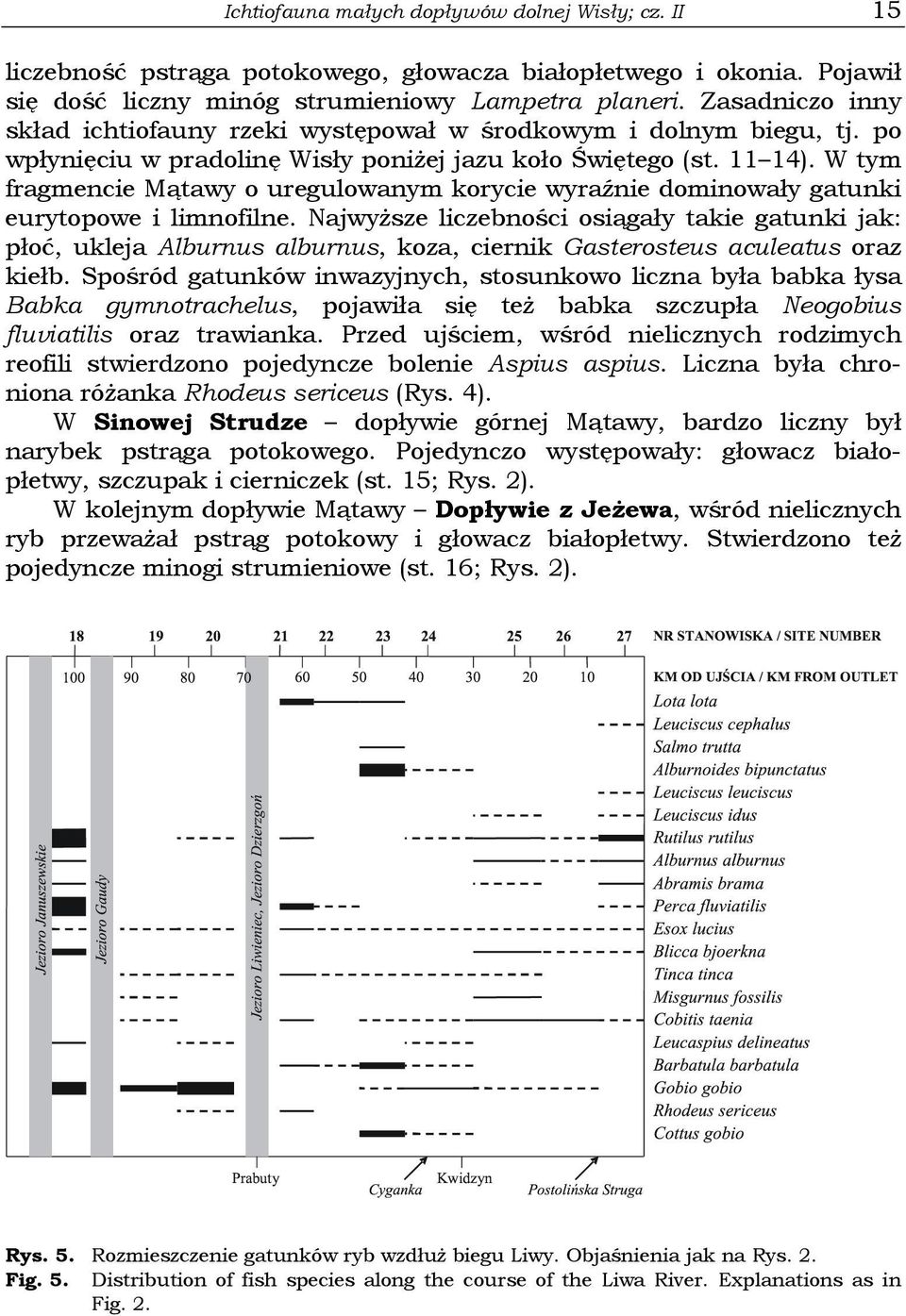 W tym fragmencie Mątawy o uregulowanym korycie wyraźnie dominowały gatunki eurytopowe i limnofilne.