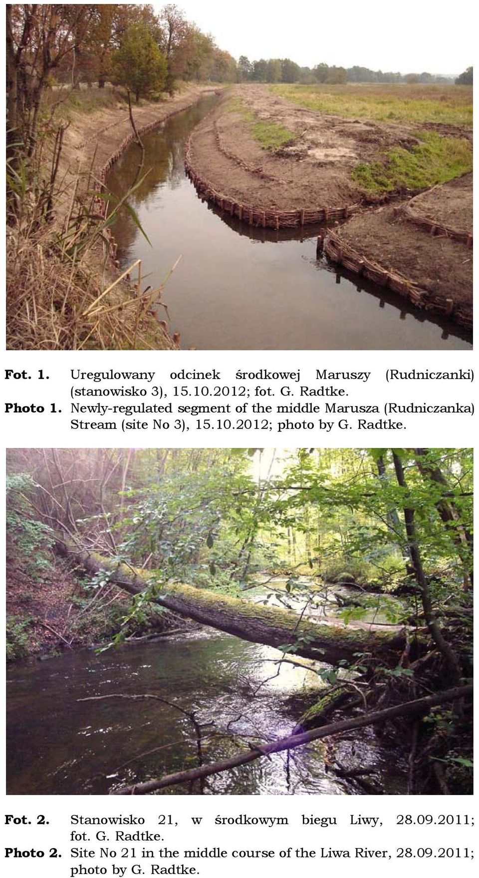 Newly-regulated segment of the middle Marusza (Rudniczanka) Stream (site No 3), 15.10.2012; photo by G.