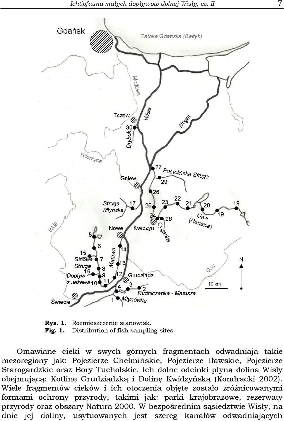 Ich dolne odcinki płyną doliną Wisły obejmującą: Kotlinę Grudziądzką i Dolinę Kwidzyńską (Kondracki 2002).