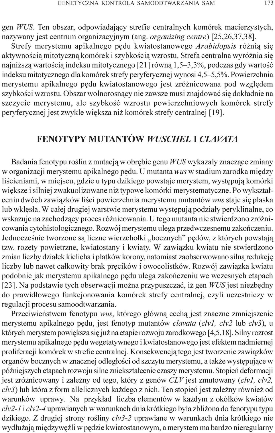 Strefa centralna wyró nia siê najni sz¹ wartoœci¹ indeksu mitotycznego [21] równ¹ 1,5 3,3%, podczas gdy wartoœæ indeksu mitotycznego dla komórek strefy peryferycznej wynosi 4,5 5,5%.