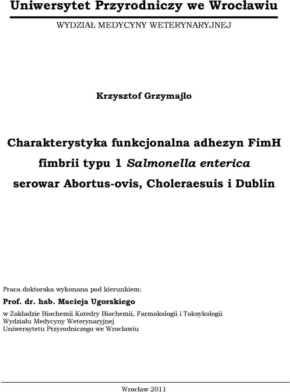 Dublin Praca doktorska wykonana pod kierunkiem: Prof. dr. hab.